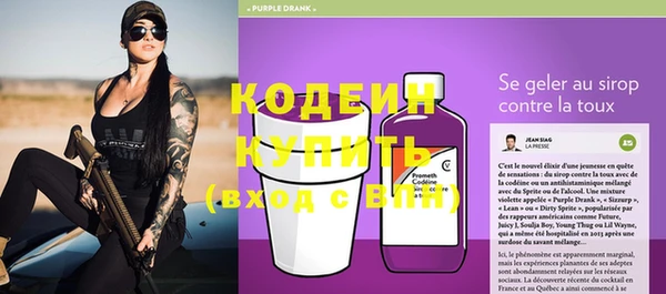 хмурый Бородино