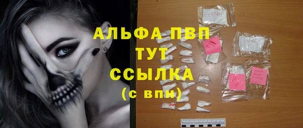 хмурый Бородино
