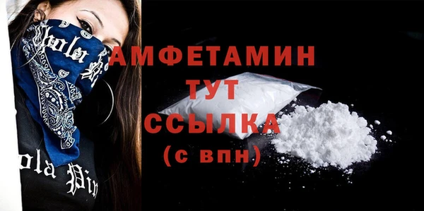 хмурый Бородино