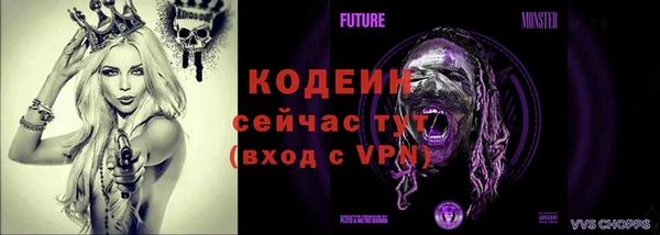 хмурый Бородино