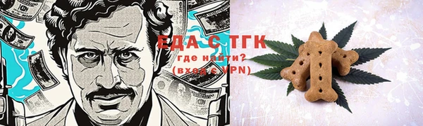 хмурый Бородино