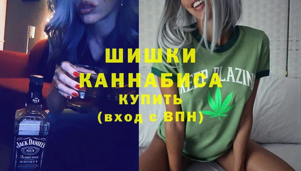 хмурый Бородино
